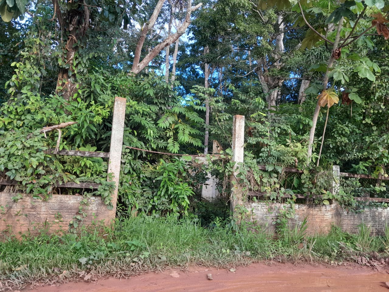 Parque ambiental de Sena segue abandonado e tornou-se esconderijo do tráfico