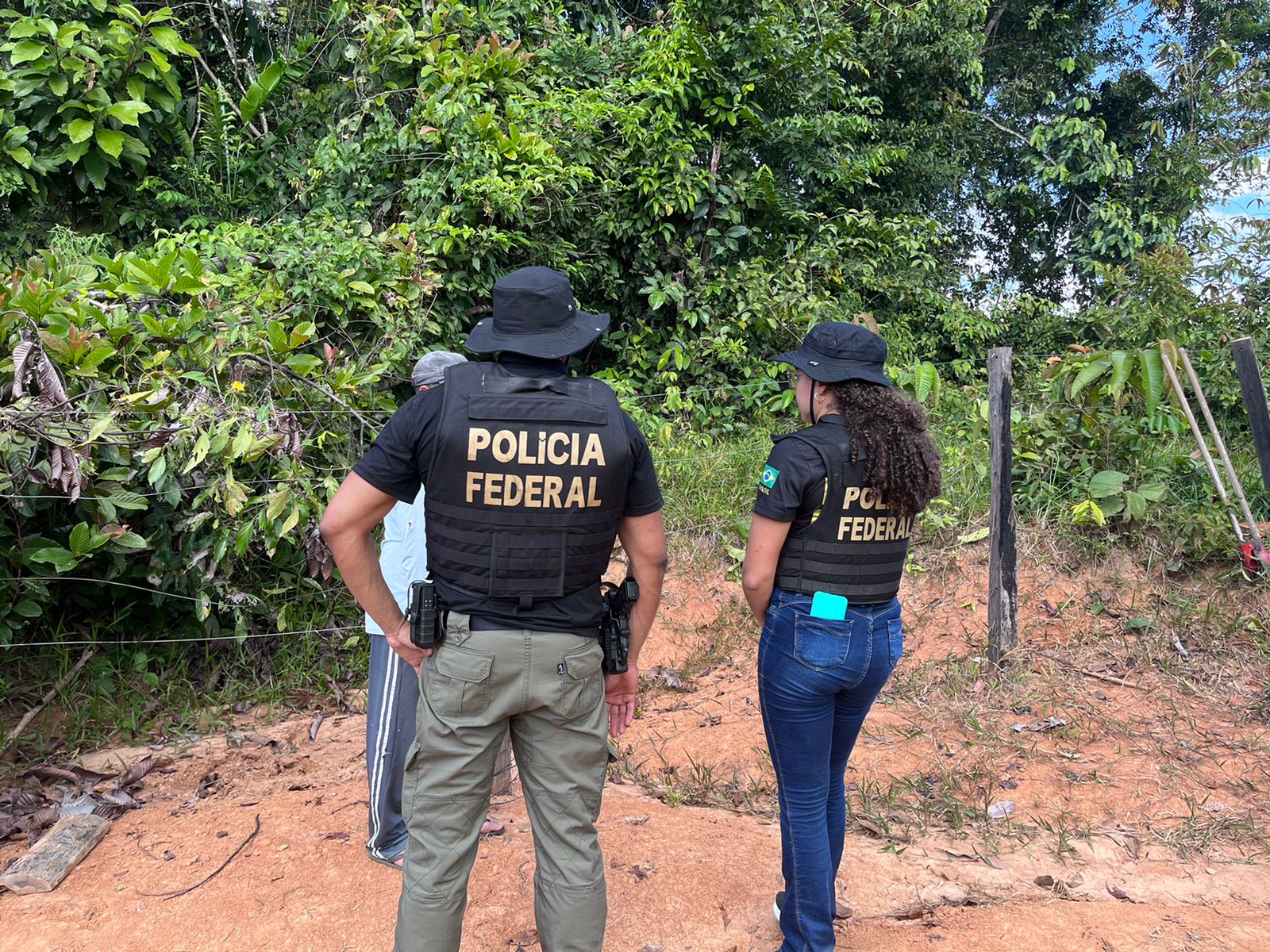 PF prende quatro pessoas por transporte ilegal de madeira em Guajará