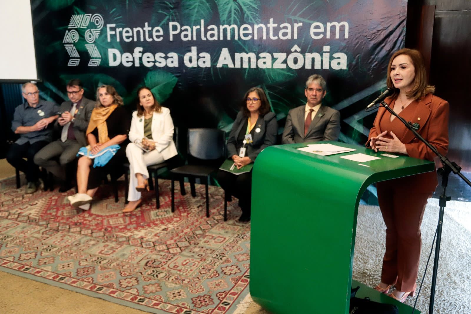 Socorro Neri é vice-presidente da Comissão Mista em Defesa da Amazônia