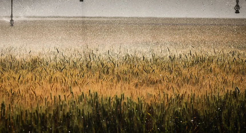 Reforma tributária: texto autoriza três dos estados mais ‘agro’ do país a criar imposto sobre produção
