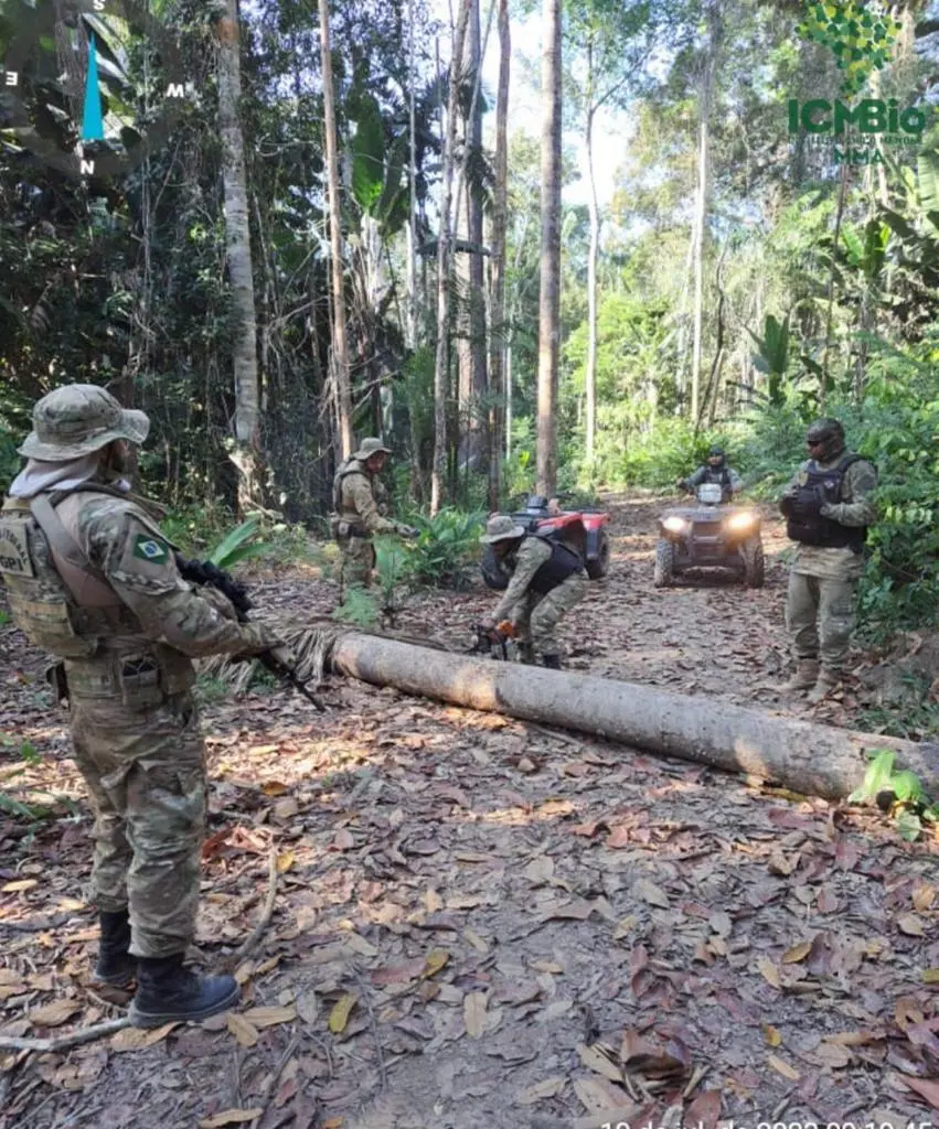 PF deflagra nova operação contra invasão de terras e desmatamento em reserva
