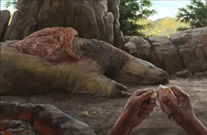 Ossos de preguiça gigante revelam presença humana no Brasil há 25 mil anos