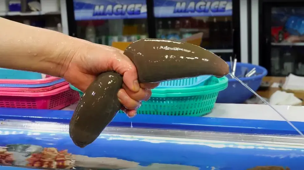 Peixe pênis? Veja 6 casos que viralizaram e viraram meme nesta semana