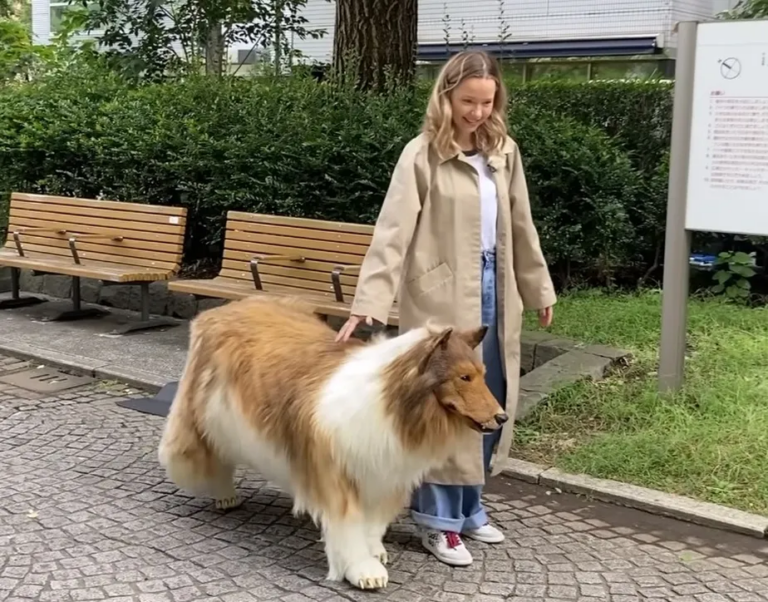 Japonês que pagou R$ 72 mil em fantasia realista de cachorro faz primeiro passeio na rua; vídeo