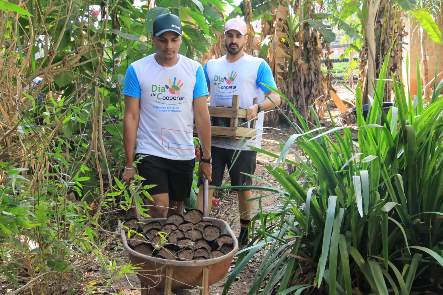 Voluntários realizam a 1° etapa do projeto de reflorestamento das nascentes em Araputanga