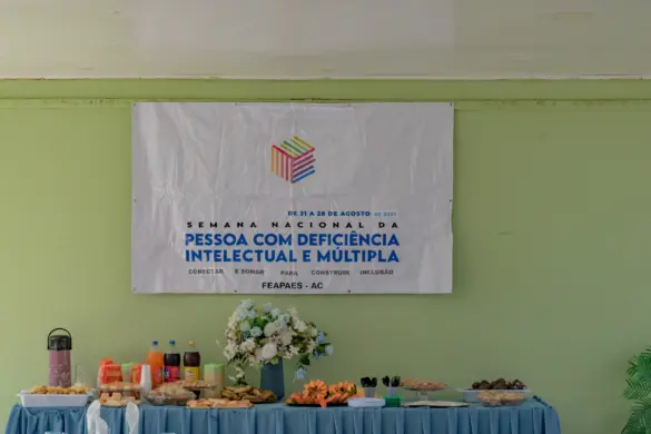 VEÍCULO APAE CZS (45)