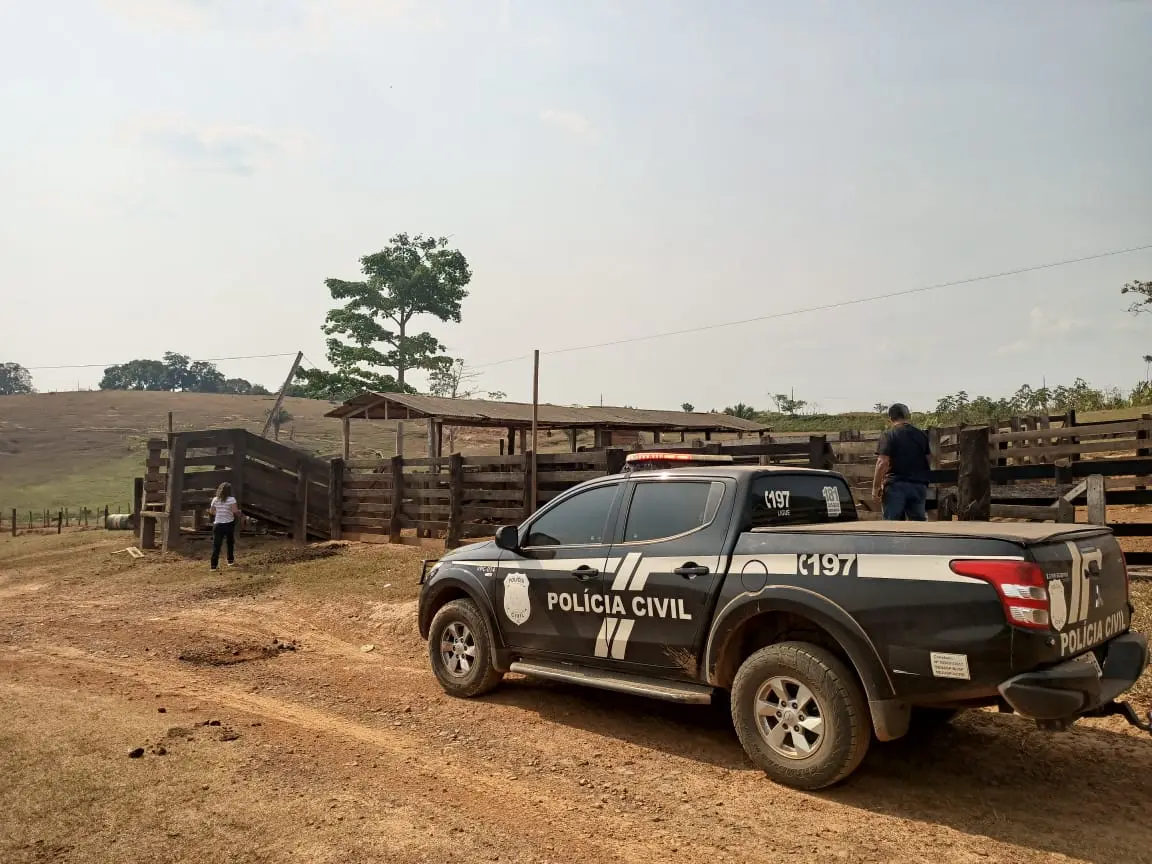 Polícia Civil recupera gado furtado no Acre e identifica criminosos