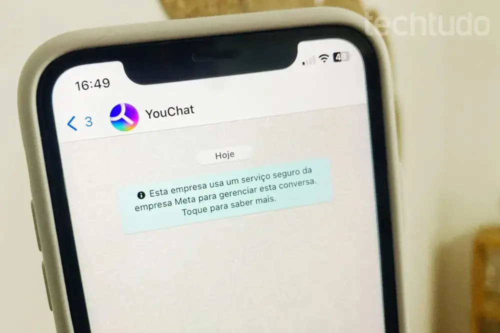 Rival do ChatGPT pode ser usado diretamente no WhatsApp; teste