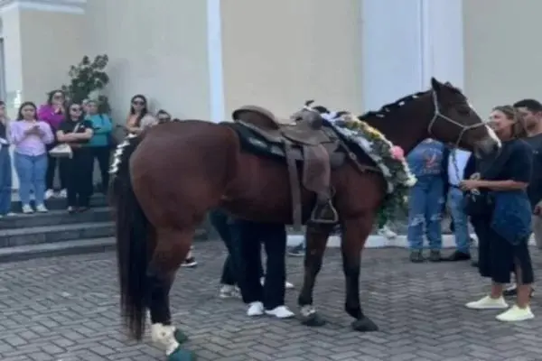 Vídeo: égua é levada ao funeral de menina que morreu ao cair do animal
