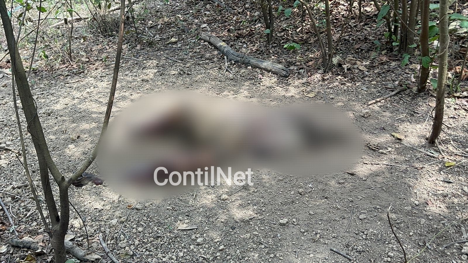 Corpo é encontrado em área de mata dentro de cova rasa em Rio Branco