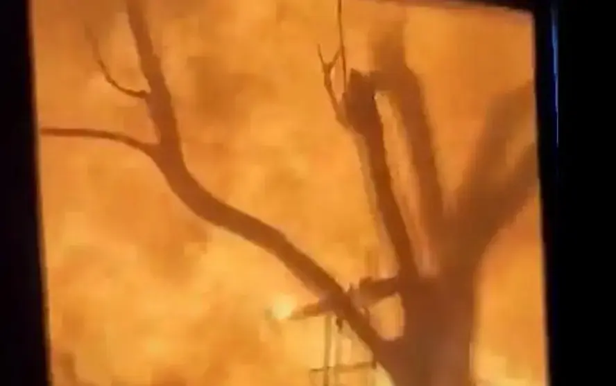 Inferno no Havaí: vídeo mostra moradores em meio a fogo e corpos durante fuga de incêndio; assista