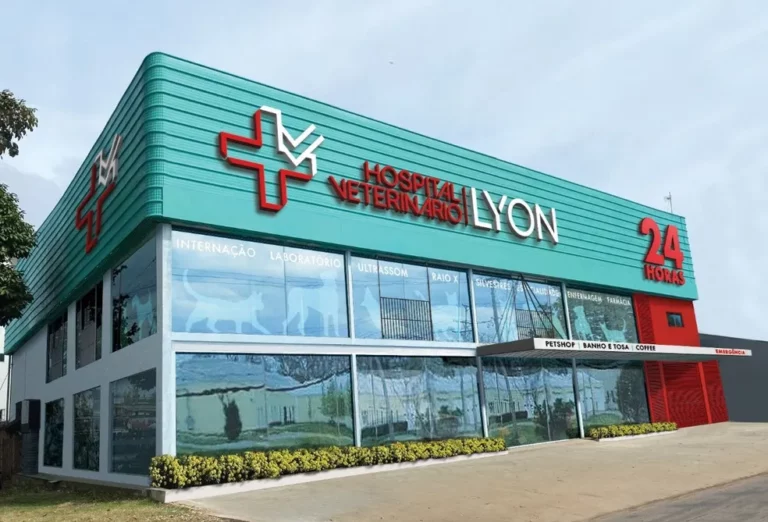 Após morte de cachorrinha, clínica processa influencer e se posiciona; ASSISTA