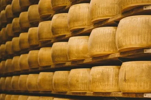 Itália: homem morre após ser esmagado por milhares de peças de queijo