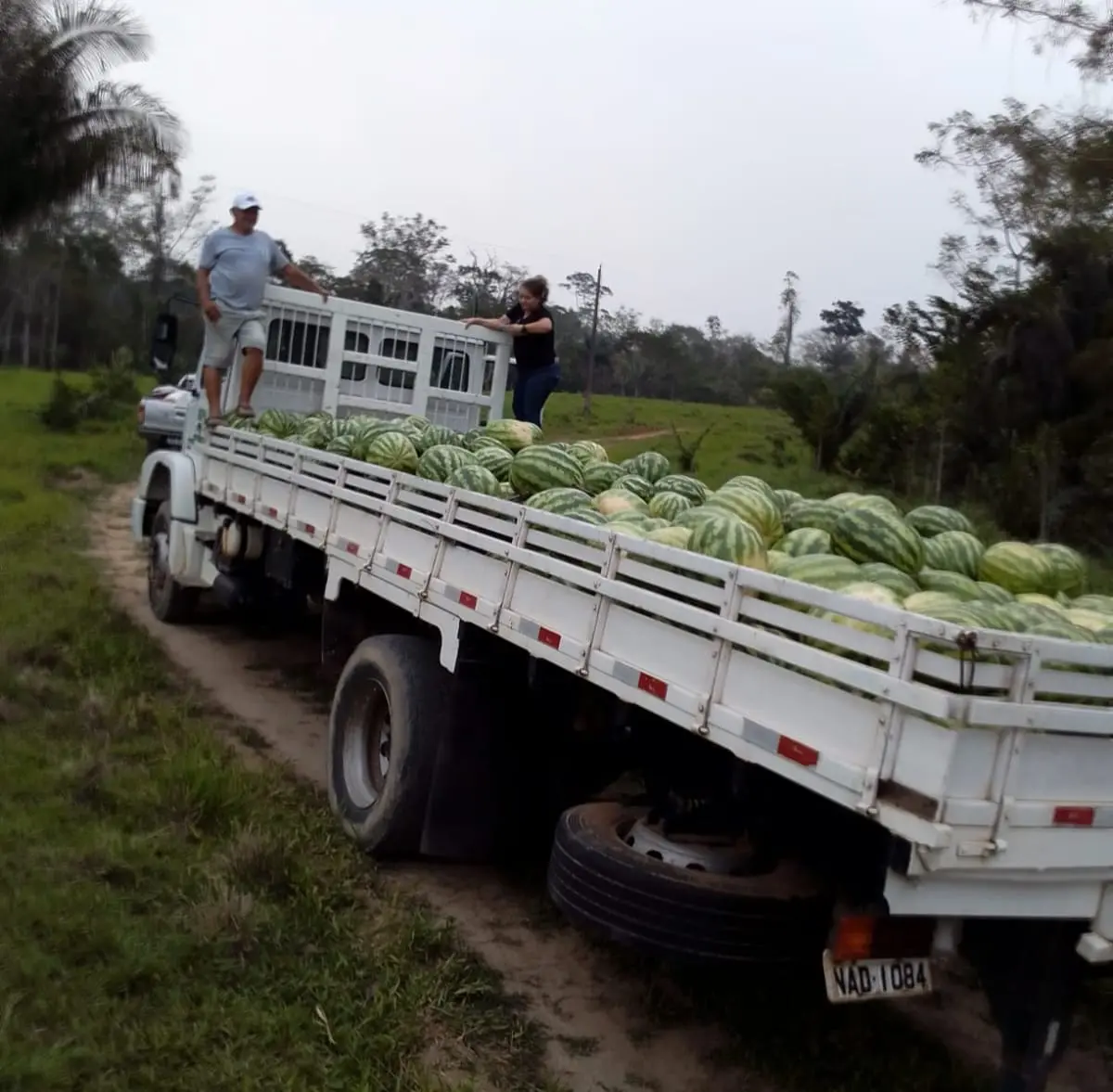 Produtor do Rio Caeté traz mais de 500 melancias para comercialização em Sena Madureira