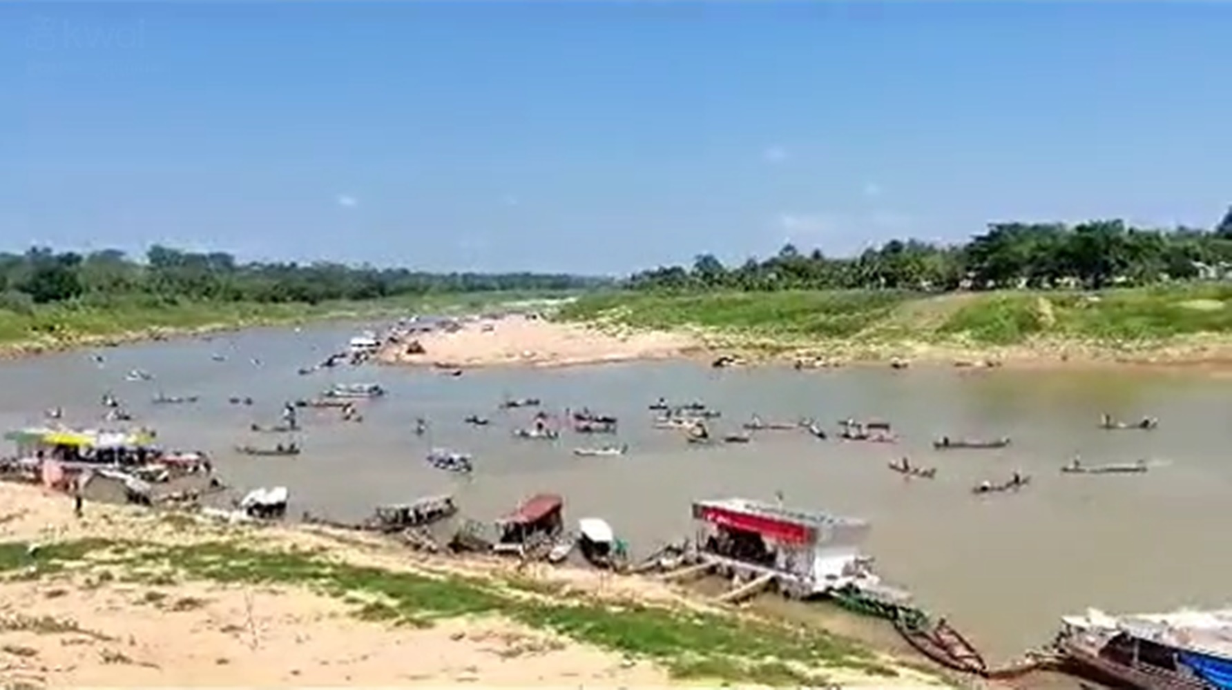 Piracema de mandim: moradores lotam Rio Purus em busca do pescado