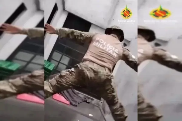 Urubu preso em poço de ventilação é resgatado por PMs; Vídeo