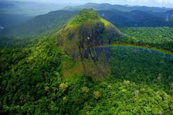 Helicóptero com servidor da Funai desaparece no Pará