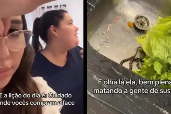Vídeo: amigas se assustam ao encontrarem cobra em alface durante almoço