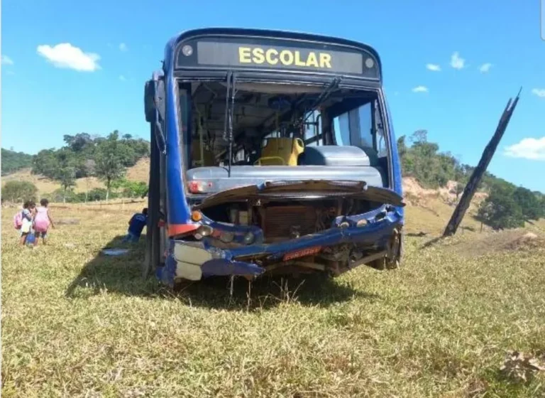 Motorista perde controle e ônibus escolar desce desgovernado em ladeira na zona rural