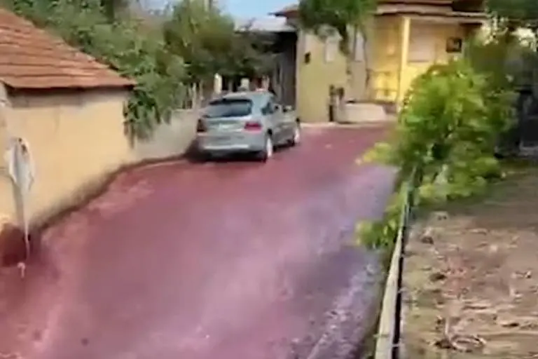 ‘Rio de vinho tinto’ inunda ruas de Portugal após destilaria se romper; vídeo