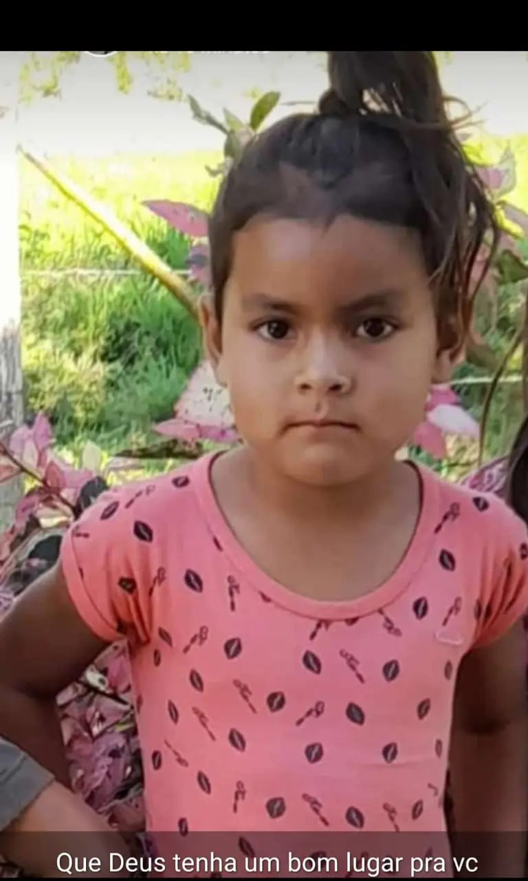 Criança de 6 anos morre após ser atingida por galho de árvore que foi cortado pelo pai