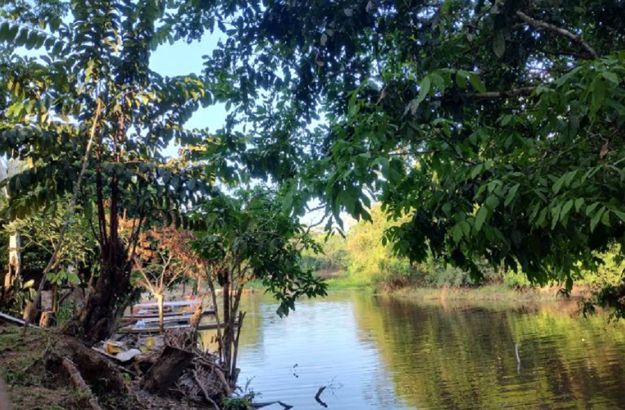 No Dia da Amazônia, Rio Croa e turismo do Acre são destaques na Folha ...