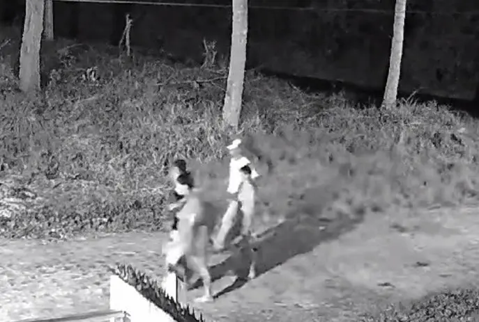 Vídeo: criminosos invadem casa e roubam até carnes na geladeira