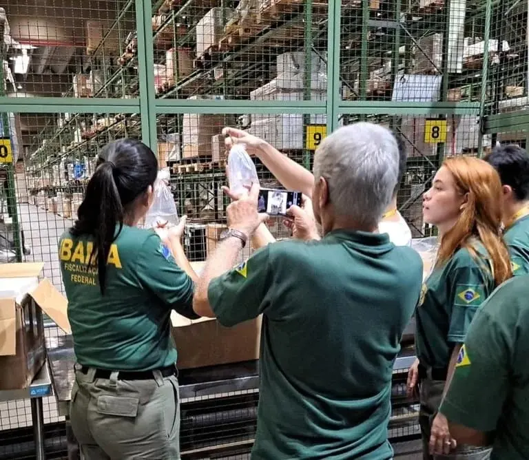 Cabeças, asas e bile: Ibama acha partes de animais em aeroporto de SP