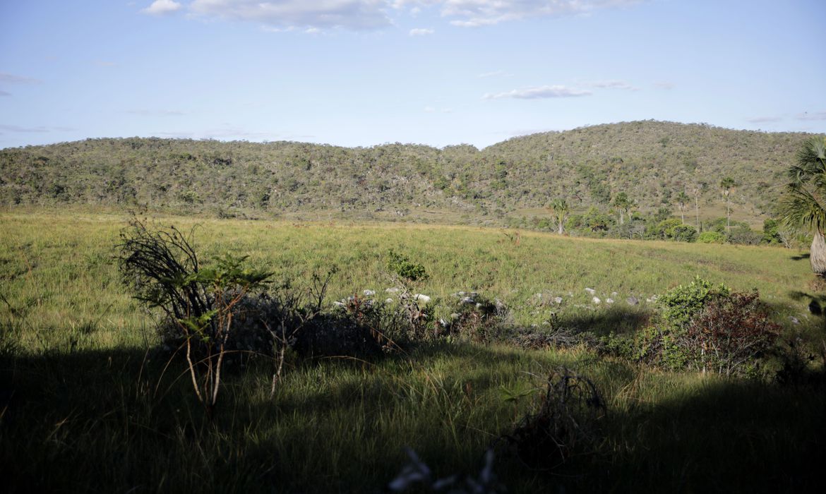 Campeãs em desmatamento, terras privadas têm 62% do Cerrado nativo