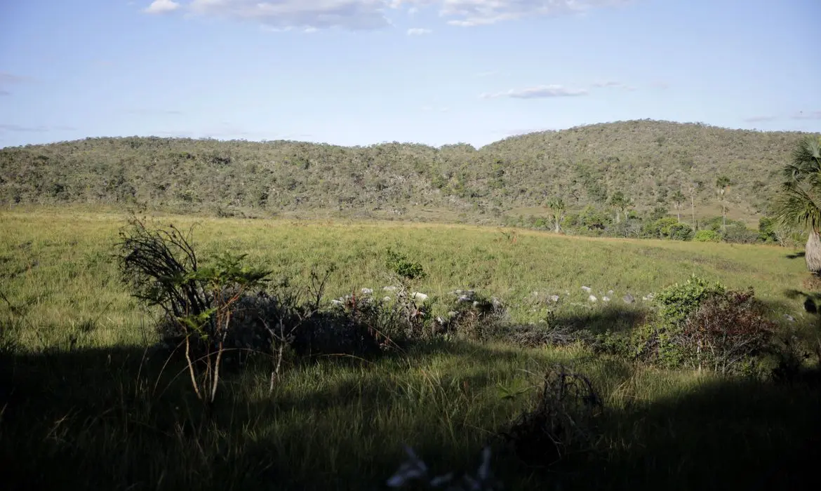 Campeãs em desmatamento, terras privadas têm 62% do Cerrado nativo