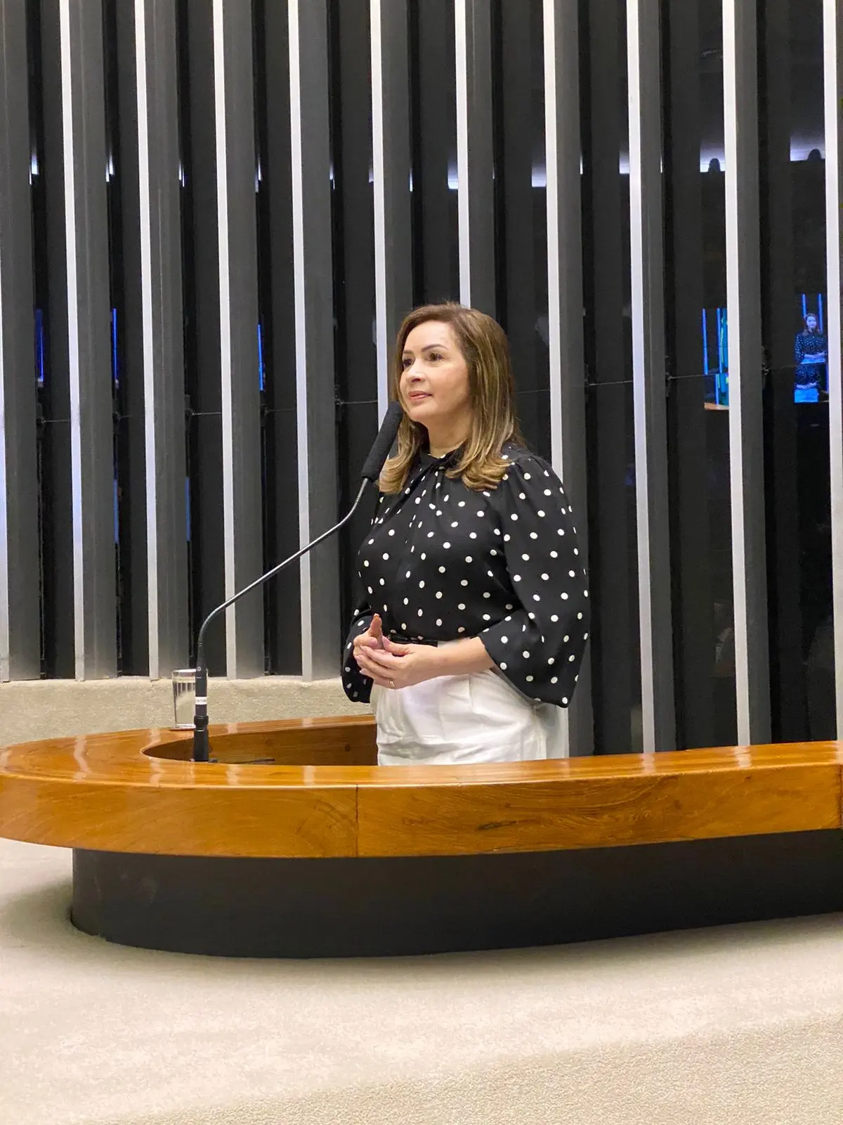 Socorro Neri vota contra à minirreforma política aprovada na Câmara