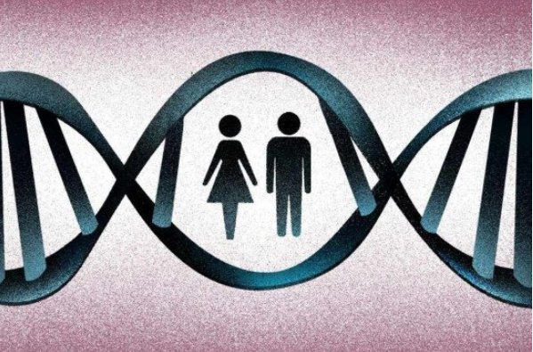 Terapia gênica abrirá portas para cura de doenças raras no futuro