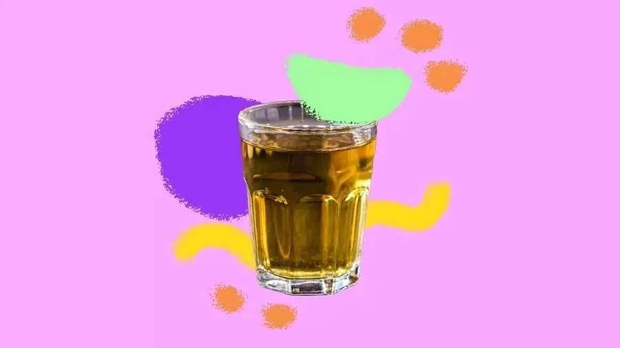 O que acontece no seu corpo quando você bebe cachaça regularmente