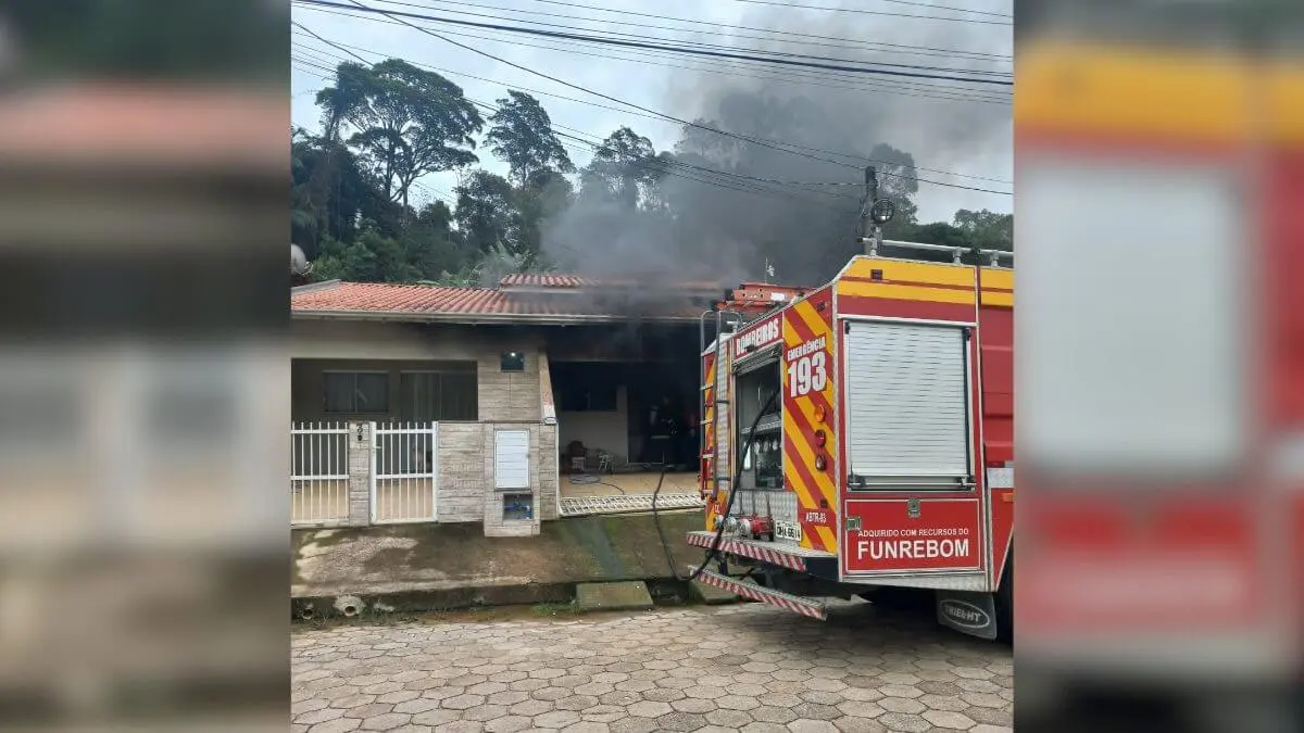 Homem ateia fogo à casa da ex e mata seis gatos carbonizados