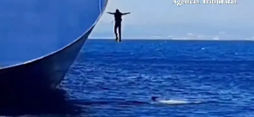 Polícia da Espanha flagra traficantes saltando de navio em movimento com 100 kg de cocaína; vídeo