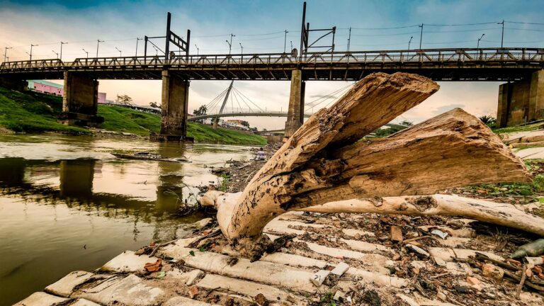 Regiões do Acre registram níveis de seca extrema em setembro; saiba quais
