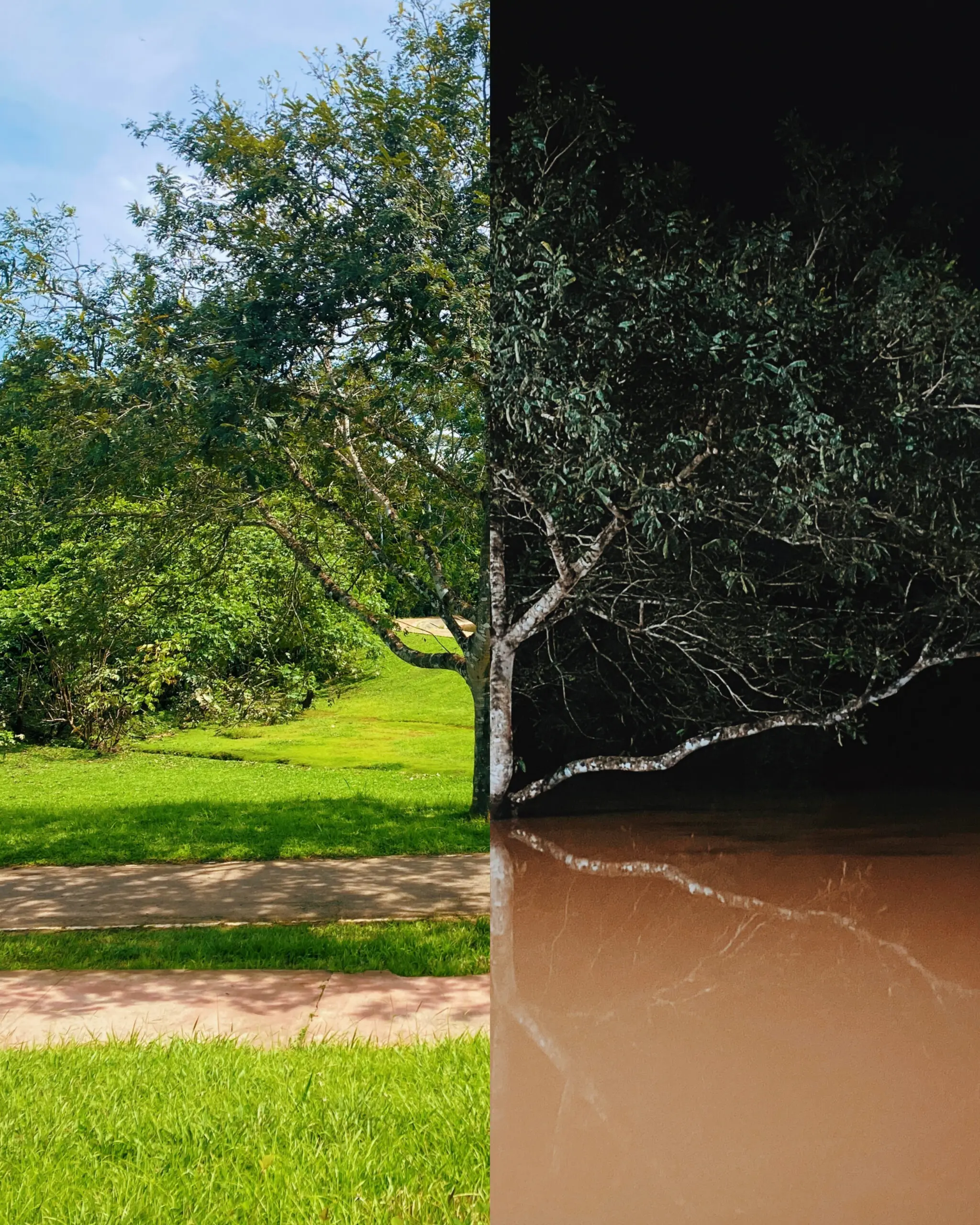 No Acre, fotos de exposição ‘derretem’ e viram arte e reflexão sobre efeitos climáticos