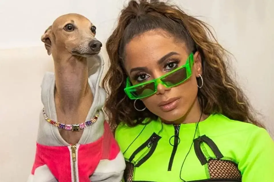Cachorro de Anitta ganha festa de aniversário com tema de Mickey Mouse