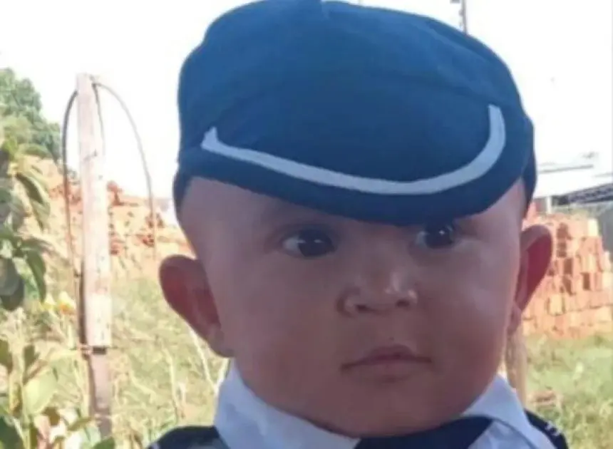 Bebê de 2 anos morre no interior de SP após ser picado por cascavel
