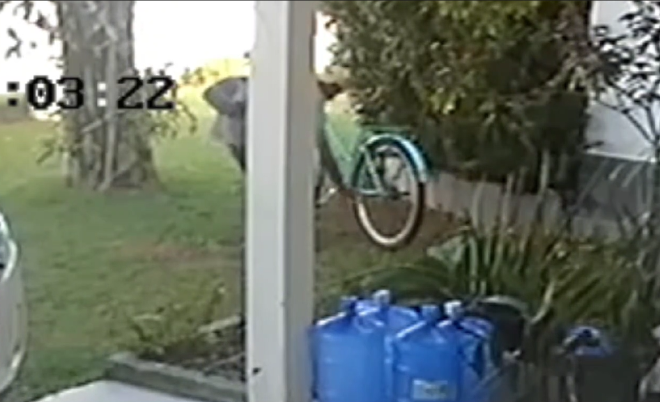 Homem entra em residência, rouba bicicleta e câmera de segurança flagra ação