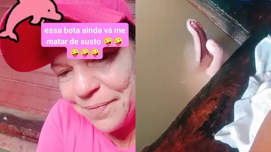 Mulher se surpreende ao encontrar um boto cor-de-rosa na pia e vídeo viraliza