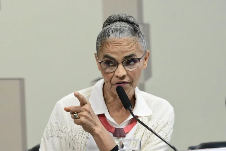 Gerido por Marina Silva, Fundo Amazônia recebeu em 2024 quase 1 bilhão em doações