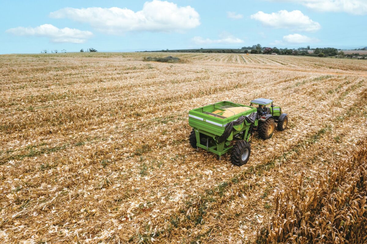 Na região Norte, a maioria dos estados teve redução nas projeções agrícolas