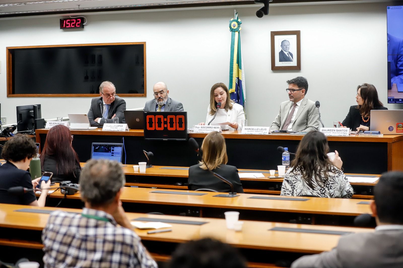 Mercado voluntário de carbono oferece enormes possibilidades no Brasil, garante Socorro Neri