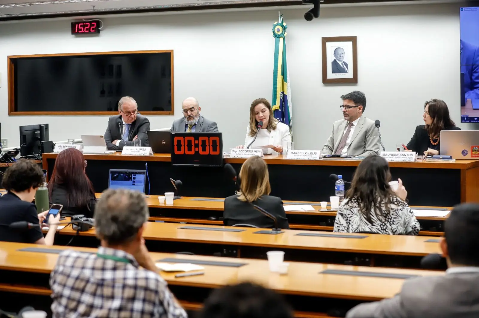 Mercado voluntário de carbono oferece enormes possibilidades no Brasil, garante Socorro Neri