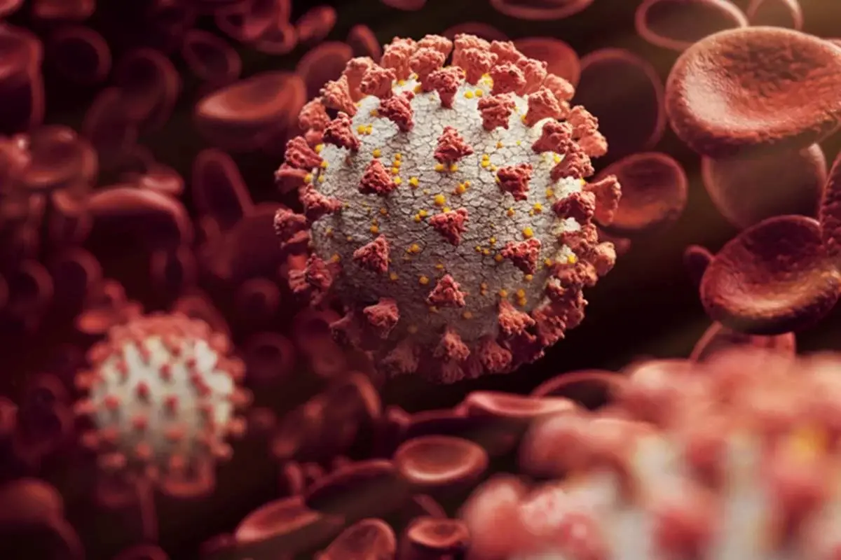 HV.1: o que se sabe sobre a nova variante do coronavírus