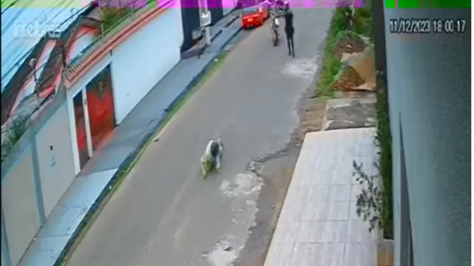 Sargento da PM que ia para o trabalho prende ladrão na hora do roubo