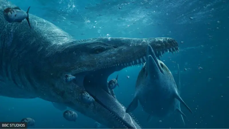 Pliossauro: o ‘monstro marinho’ gigantesco cujo crânio fossilizado foi encontrado no Reino Unido