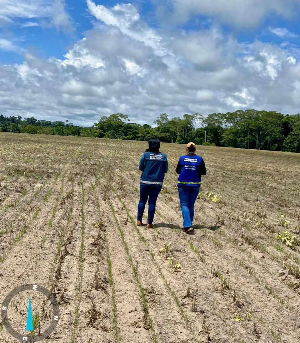 Governo do Acre realiza ações para proteger produção de soja contra a ferrugem asiática