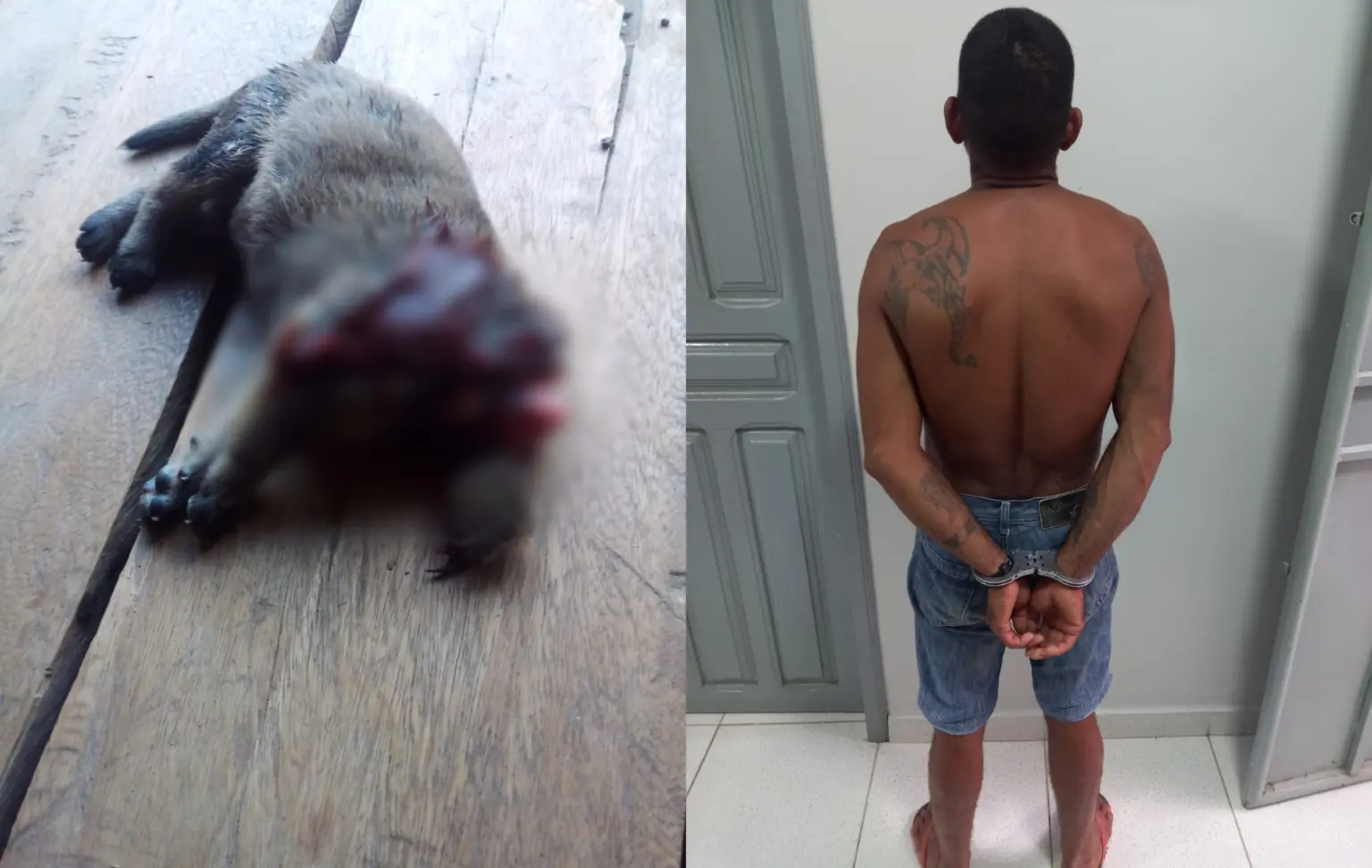 Homem é preso após arrancar cabeça de filhote de cachorro; animal tinha uma semana de vida